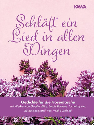 cover image of Schläft ein Lied in allen Dingen